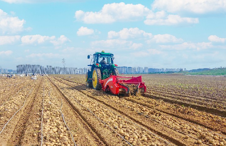 image1.jpg image1.jpg