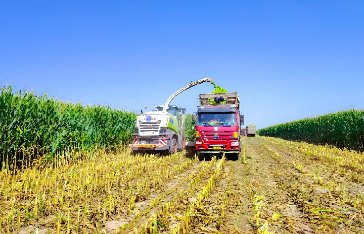 image2.jpg image2.jpg